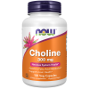 Choline 300 mg 100 Veg Capsules