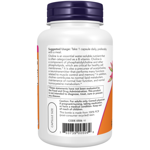 Choline 300 mg 100 Veg Capsules