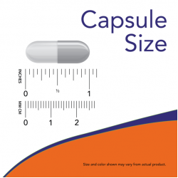 Glucosamine & Chondroitin with MSM 180 Capsules