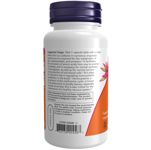 B-6 100mg 100 Capsules