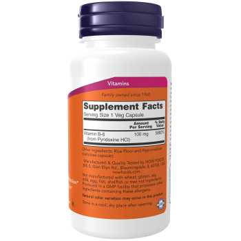 B-6 100mg 100 Capsules
