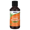 Liquid Chlorophyll , Extra Strength Mint 118ml, 94 adag/üveg  / Folyékony klorofill, extra erős, menta