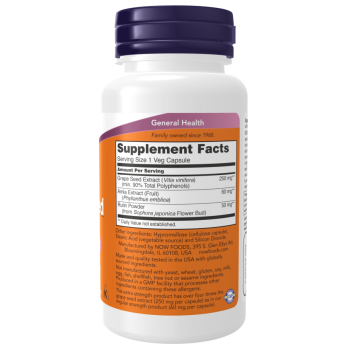 Grape Seed, Extra Strength 250 mg 90 Veg Capsules