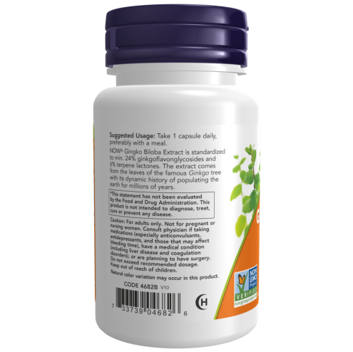 Ginkgo Biloba, Double Strength 120 mg -100 Veg Capsules