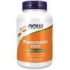 Pancreatin 2000 mg 250 Capsules