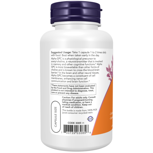 Alpha GPC 300 mg - 60 Veg Capsules