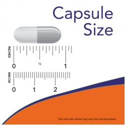 Diet Support 120 Veg Capsules