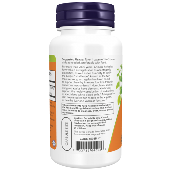 Astragalus Extract 500 mg 90 Veg Capsules