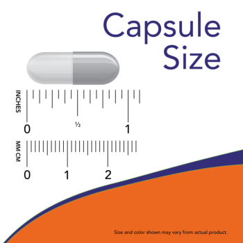 Astragalus 500 mg 100 Veg Capsules