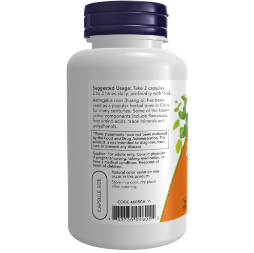 Astragalus 500 mg 100 Veg Capsules