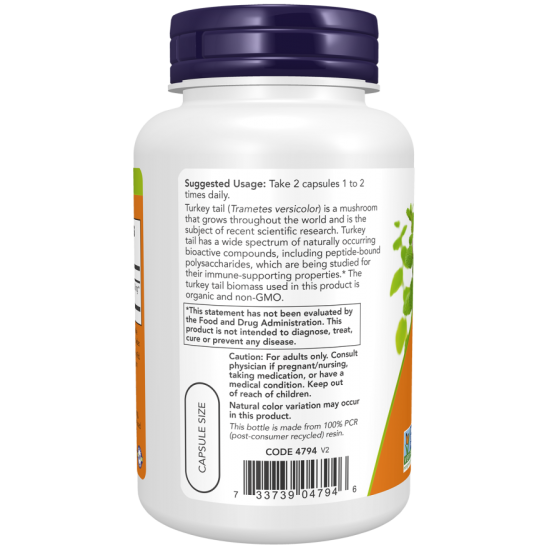 Turkey Tail 500 mg 90 Veg Capsules /pulykafarkgombából/