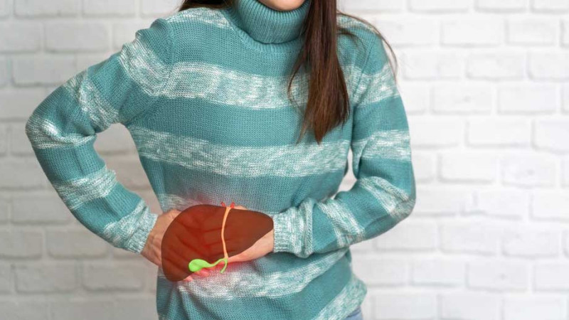 Hogyan támogathatjuk a máj egészségét?