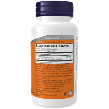 L-Carnitine 250 mg 60 Veg Capsules