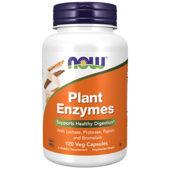Plant Enzymes - 120 Veg Capsules