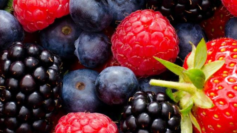 Néhány termék Nátrium benzonátot tartalmaz. Azt hallottam mostanában, hogy ez üdítőitaloknál valamiféle problémát jelent. Vonatkozik ez a NOW termékekre is?