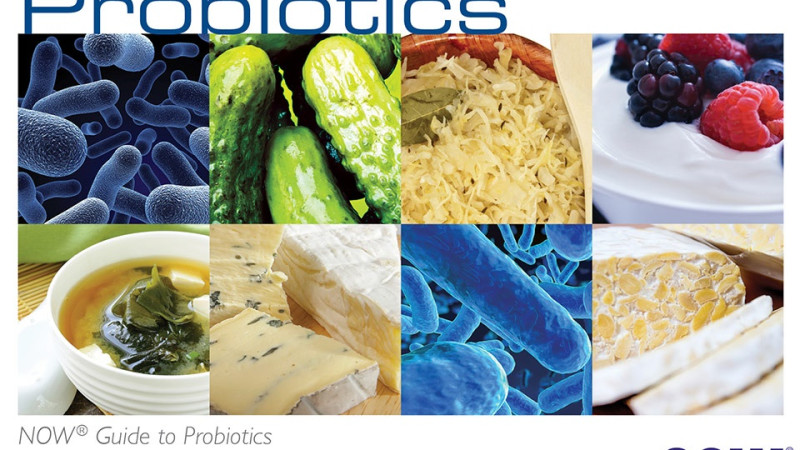 Mik a probiotikumok? Probiotikumokról.