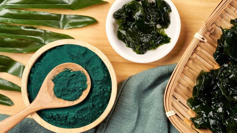 Hogyan támogathatják egészségünket a tengerek zöld kincsei?